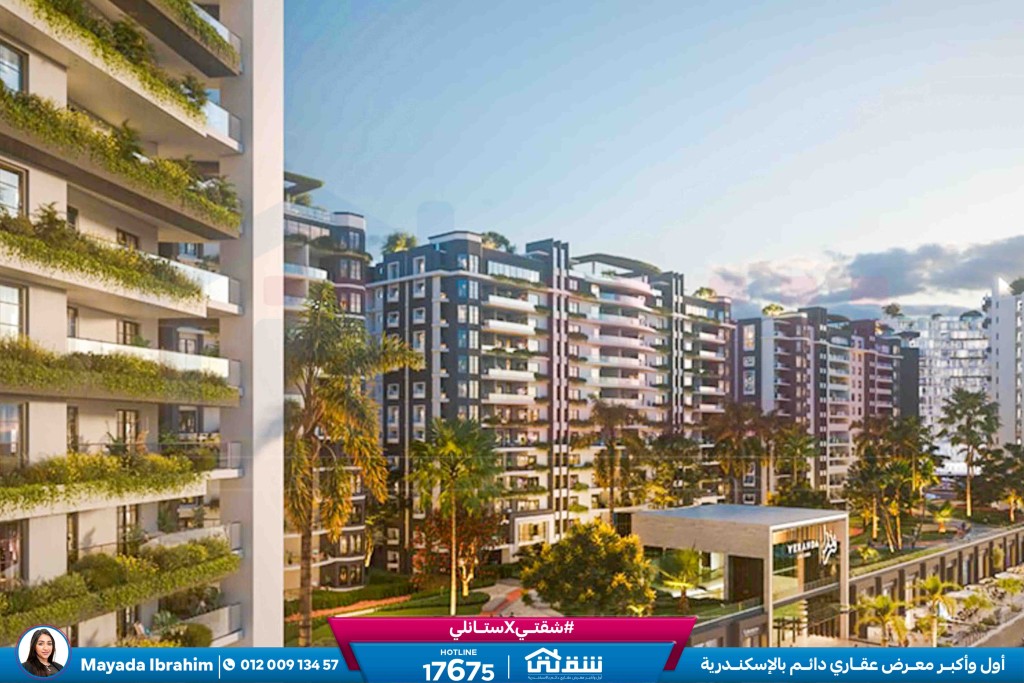 WhatsApp Image 2026-01-20 at 1.58.25 PM (2)