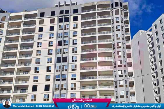 WhatsApp Image 2026-01-21 at 4.19.32 PM (2)