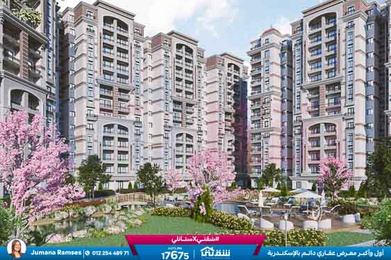 WhatsApp Image 2026-01-22 at 4.18.44 PM (1)