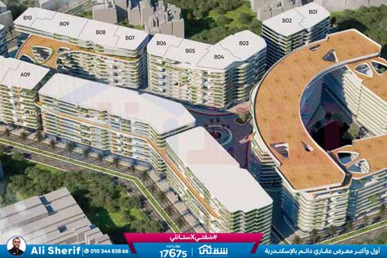 WhatsApp Image 2026-01-31 at 3.10.55 PM