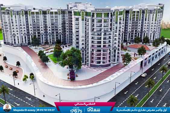 WhatsApp Image 2026-02-04 at 5.09.33 PM