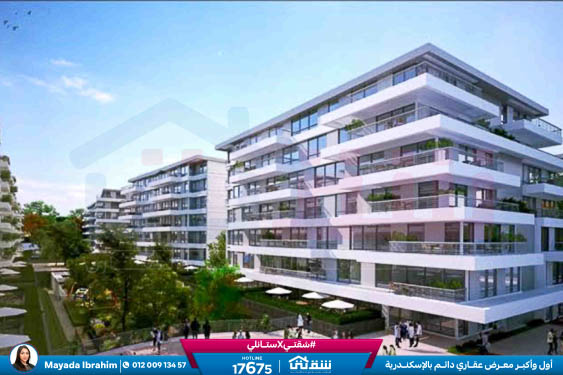 WhatsApp Image 2026-02-08 at 12.25.46 PM