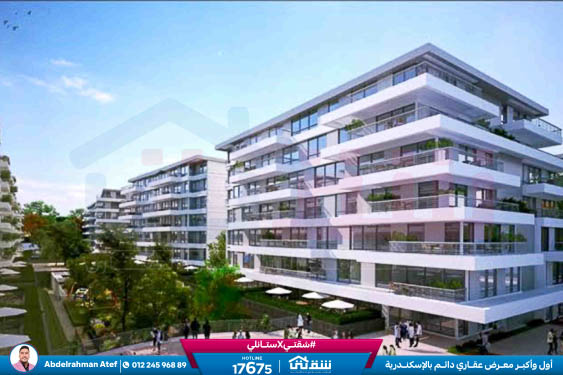 WhatsApp Image 2026-02-08 at 12.25.46 PM