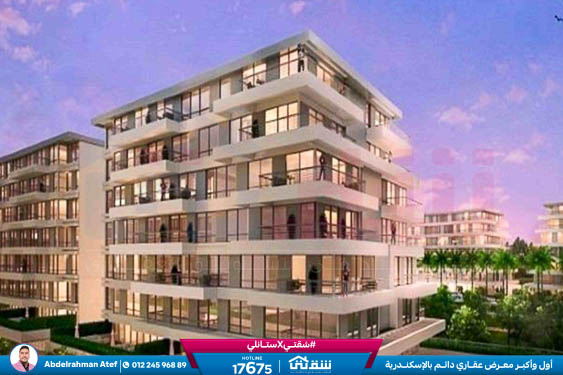 WhatsApp Image 2026-02-08 at 12.25.47 PM (1)