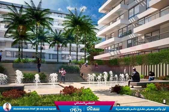 WhatsApp Image 2026-02-08 at 12.25.47 PM