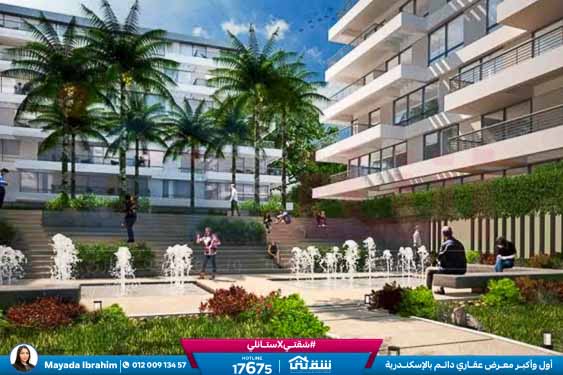 WhatsApp Image 2026-02-08 at 12.25.47 PM