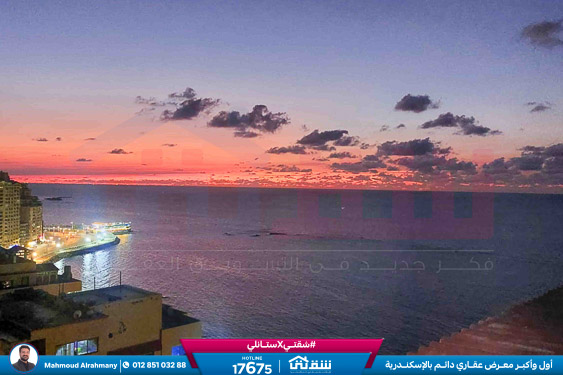 WhatsApp Image 2026-02-10 at 3.12.55 PM