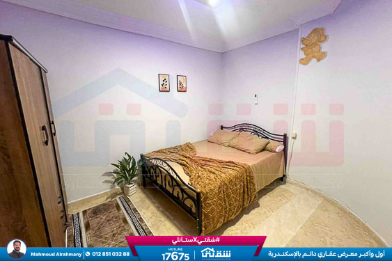 WhatsApp Image 2026-02-10 at 3.12.58 PM