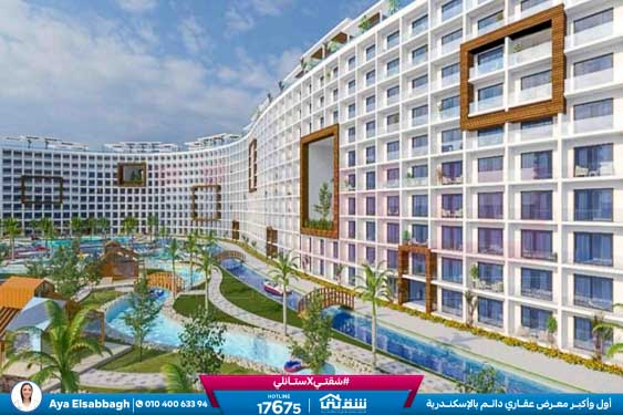 WhatsApp Image 2026-02-10 at 3.33.55 PM