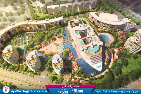 WhatsApp Image 2026-02-10 at 3.33.56 PM