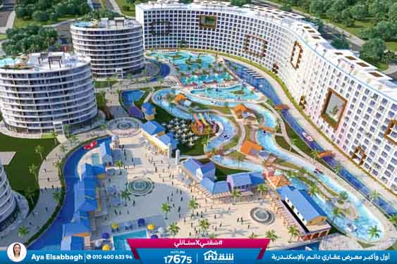 WhatsApp Image 2026-02-10 at 3.33.57 PM