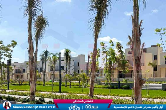 WhatsApp Image 2026-02-11 at 4.02.09 PM