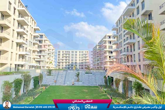 WhatsApp Image 2026-02-11 at 4.02.13 PM