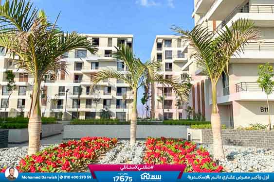 WhatsApp Image 2026-02-11 at 4.02.14 PM