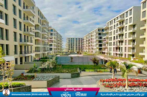 WhatsApp Image 2026-02-11 at 4.02.15 PM