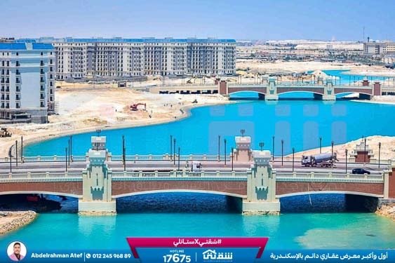 WhatsApp Image 2026-02-15 at 10.41.03 AM