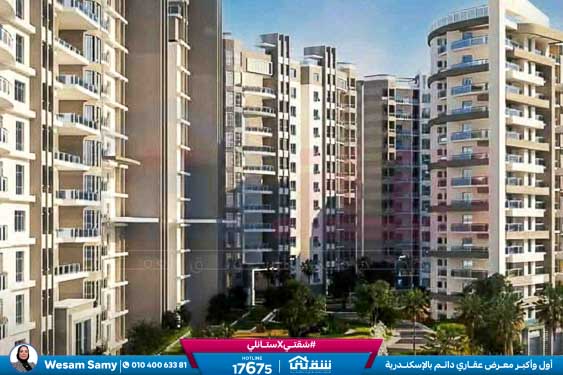 WhatsApp Image 2026-02-15 at 2.33.47 PM (1)