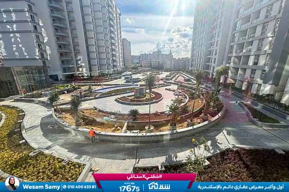 WhatsApp Image 2026-02-15 at 2.33.47 PM