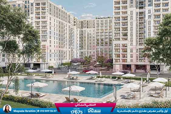 WhatsApp Image 2026-02-15 at 3.30.54 PM