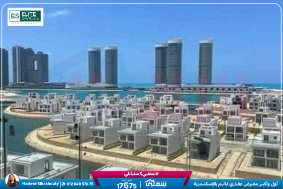 WhatsApp Image 2026-02-22 at 2.48.20 PM