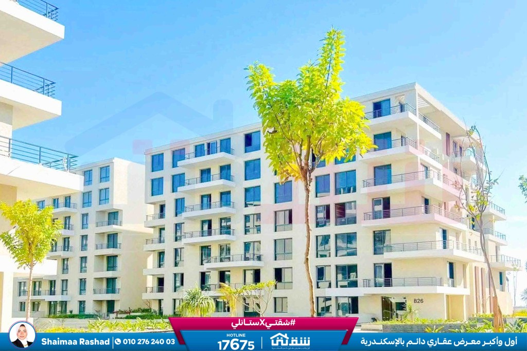 WhatsApp Image 2026-02-24 at 1.58.15 PM