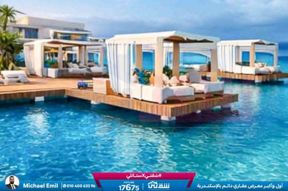 WhatsApp Image 2026-02-24 at 12.04.08 PM (1)