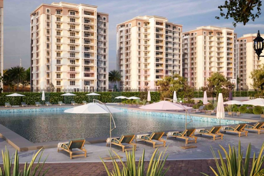 WhatsApp Image 2026-02-24 at 2.59.45 PM (1)