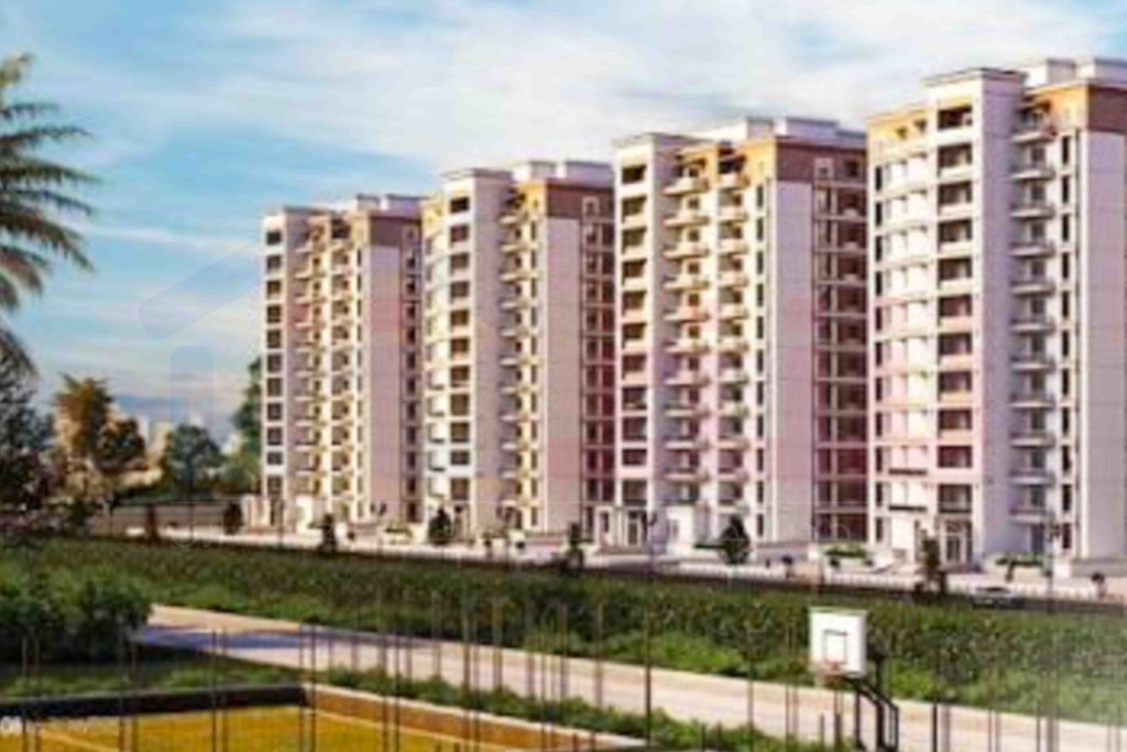 WhatsApp Image 2026-02-24 at 2.59.47 PM