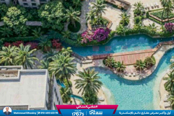 WhatsApp Image 2026-02-26 at 3.05.57 PM (1)