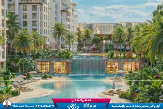 WhatsApp Image 2026-02-26 at 3.05.58 PM