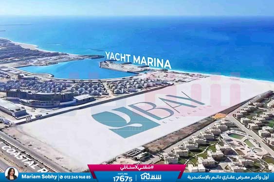 WhatsApp Image 2026-03-01 at 12.19.28 PM (3)