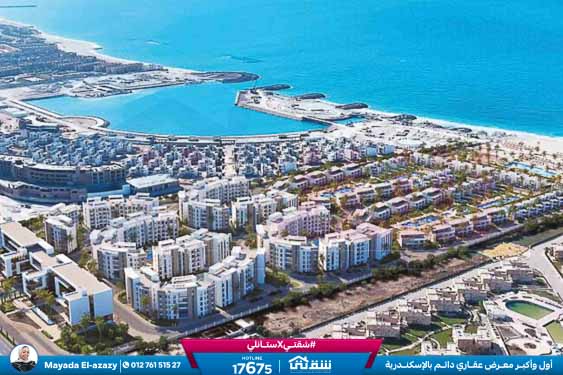 WhatsApp Image 2026-03-02 at 1.42.39 PM (1)