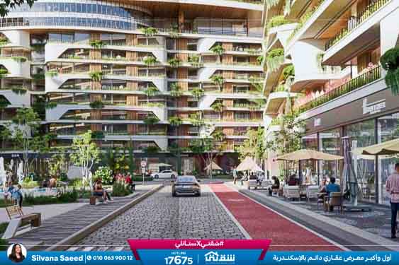 WhatsApp Image 2026-03-02 at 12.16.04 PM (2)