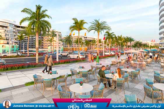 WhatsApp Image 2026-03-02 at 4.35.58 PM (1)