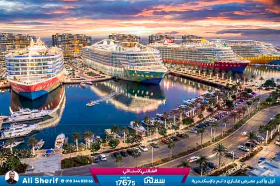 WhatsApp Image 2026-03-02 at 4.35.59 PM