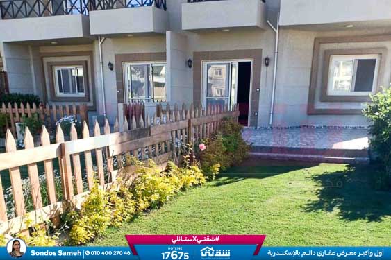 WhatsApp Image 2026-03-03 at 11.21.03 AM