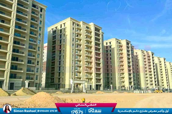 WhatsApp Image 2026-03-03 at 2.02.30 PM