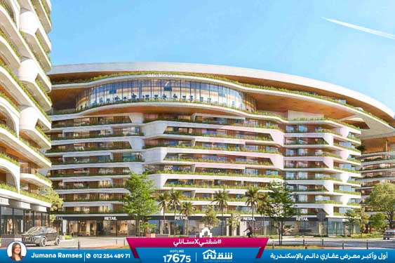 WhatsApp Image 2026-03-03 at 2.23.27 PM