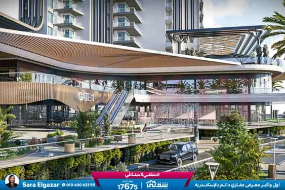 WhatsApp Image 2026-03-04 at 1.22.39 PM