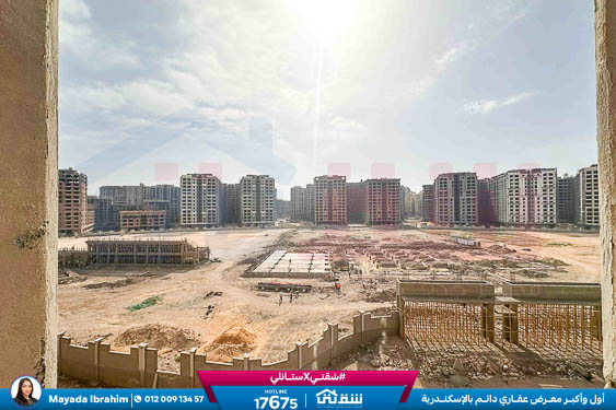 WhatsApp Image 2026-03-04 at 11.49.35 AM (2)