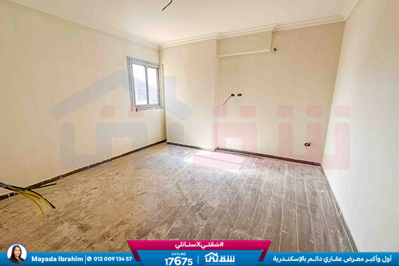 WhatsApp Image 2026-03-04 at 11.49.39 AM (1)