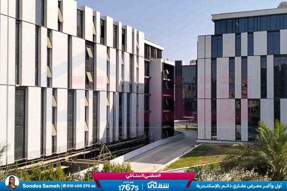 WhatsApp Image 2026-03-04 at 11.51.18 AM