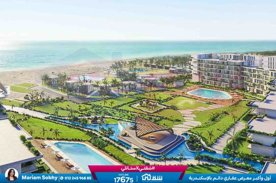 WhatsApp Image 2026-03-05 at 11.26.29 AM (1)