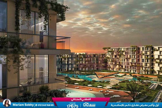 WhatsApp Image 2026-03-05 at 11.26.30 AM (1)