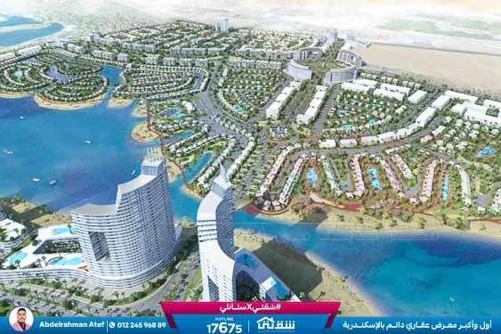 WhatsApp Image 2026-03-05 at 2.05.40 PM (1)