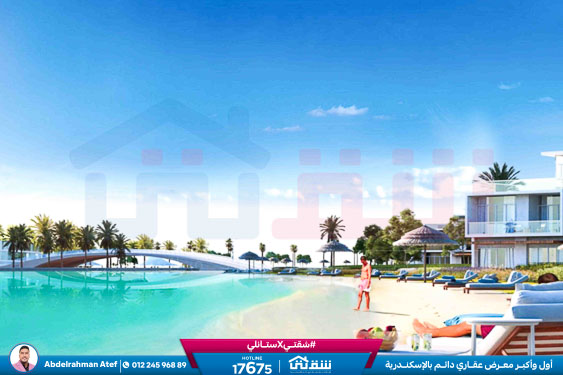 WhatsApp Image 2026-03-05 at 2.05.41 PM (2)