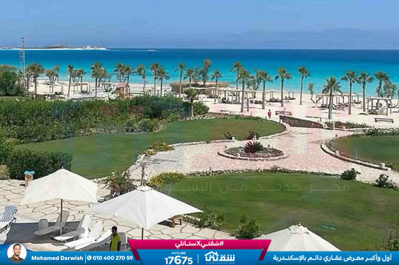 WhatsApp Image 2026-03-07 at 12.09.06 PM