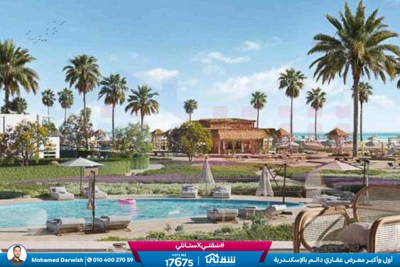 WhatsApp Image 2026-03-07 at 12.09.08 PM (1)