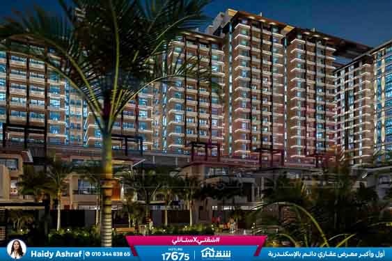 WhatsApp Image 2026-03-07 at 12.25.09 PM (1)