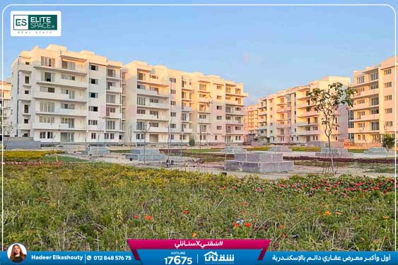 WhatsApp Image 2026-03-07 at 3.18.25 PM (2)